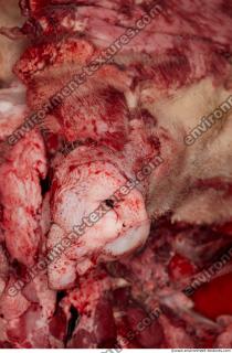 Photo Textures of RAW Pork Meat